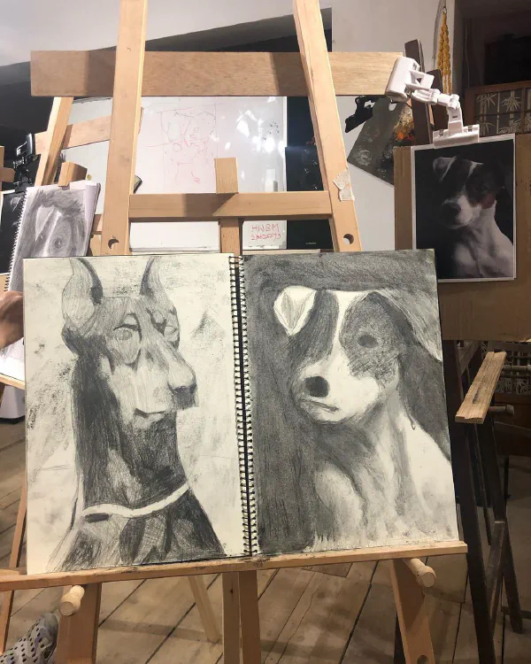 素描第六堂:Still光影、色階