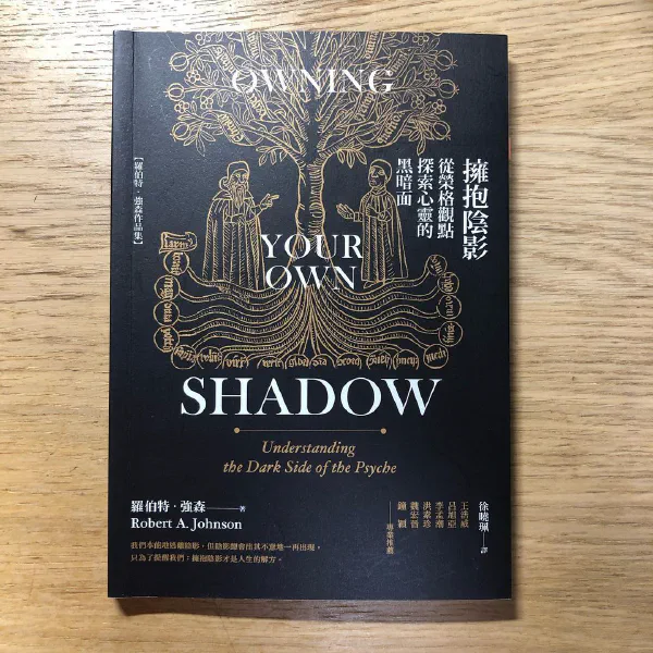 書摘｜《擁抱陰影》