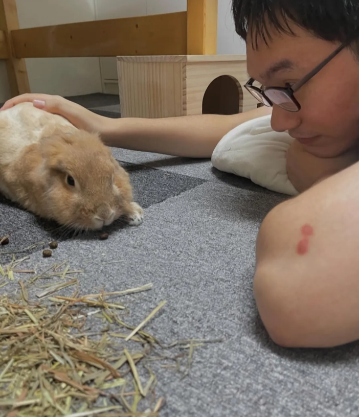 20250310情緒、鏡子視角、觀自在