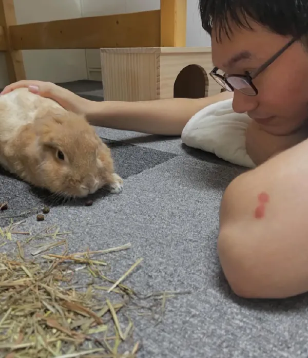 20250310情緒、鏡子視角、觀自在